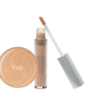 Bemineral Perfect Cover Concealer Fair